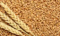 این جنگ امنیت غذایی ایران را تهدید می‌کند؟
