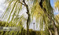 تهران کِی گرم می‌شود؟