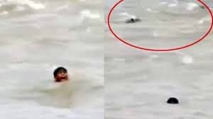 نجات کودک از غرق شدن در رودخانه پر از تمساح 