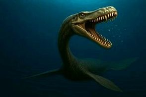 هیولای ۱۲ متری، شکارچی پرسه‌زن اعماق اقیانوس 