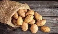 شباهت جالب یک سیب زمینی به پای انسان