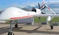 حضور باورنکردنی یک موش روی پهپاد انتحاری!