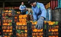 نوبری‌های پاییز؛ هنوز هم گران 