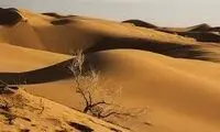 تصاویر دیدنی از بزرگ‌ترین پارک کویری ایران
