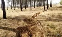 حادثه غم‌انگیز برای تخت جمشید و نقش رستم