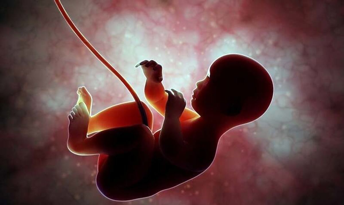 فیلم دیدنی از لحظه کاشته‌شدن جنین در رحم انسان