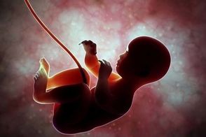 فیلم دیدنی از لحظه کاشته‌شدن جنین در رحم انسان