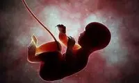 فیلم دیدنی از لحظه کاشته‌شدن جنین در رحم انسان