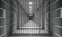 جدیدترین خبر از  سیپده قلیان