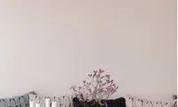 معجزه رنگ صورتی در دکوراسیون داخلی منزل