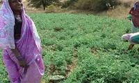 ثروتمندترین روستای هندوستان +عکس