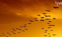 چیزهایی که حیوانات تشخیص می‌دهند، ولی ما نمی‌توانیم