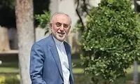 صالحی: فعلاً تصمیم قطعی برای کاندیداتوری ندارم