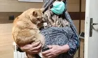 تصویر این گربه در فضای مجازی پربازدید شد
