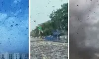 هجوم ملخ‌های صحرایی به عربستان