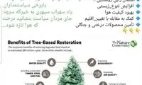 پست انتقادی تابش به مناسبت روز درختکاری