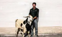 عکس: موکب عزاداران زینبیه اعظم زنجان