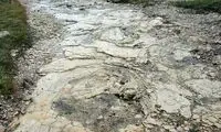 بزرگترین ردپای به جا مانده از دایناسورها در جهان
