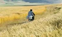 ۱۰ فیلم برتر تاریخ که موسیقی متن ندارند