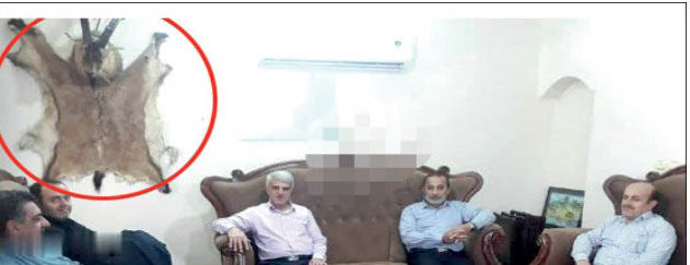 جسد قوچ در جلسه‌ی مسئولان دولتی مازندران!