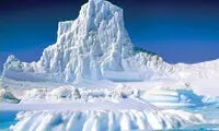 سرکی در متروکه‌ترین قاره دنیا!