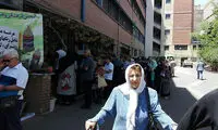 همسر دکتر شریعتی، رأی خود را در صندوق انداخت