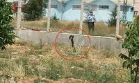 داعش به ترکیه موشک شلیک کرد +عکس