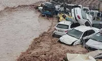تعداد کشته شدگان در شیراز به ۲۱ تن رسید