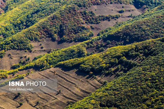 طبیعت چشم‌نواز روستای «کرینگان»