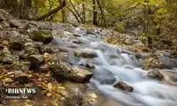 پاییز هزار رنگ در جنگل‌های گلستان