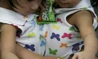 لاله و لادن فیلیپینی ازهم جداشدند!/تصاویر
