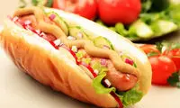 بینِ راه مسافرت «هات داگ» بخورید