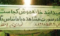 عجایبی که فقط در ایران می توان دید (7)