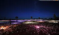 عکس: اینجا دشت نور است!