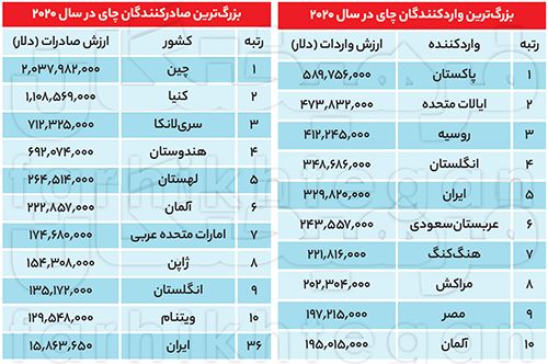 ۴۰درصد باغ‌های چای، ویلا شدند