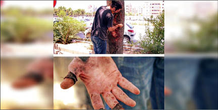 پاک‌سازی درختان از نامزدهای شورای شهر!