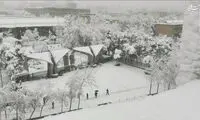 دانشگاه تهران غرق در برف