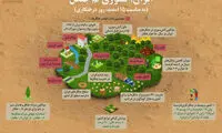 اینفوگرافی؛ ایران، کشوری کم جنگل