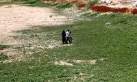 عکس: زاینده رود سبز شد