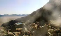 تصویر گربه وحشی در پارک «کلاه قاضی» ثبت شد
