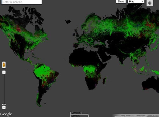 وضعیت جنگل های جهان +نقشه