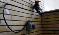 برق هدهد را خشک کرد +عکس