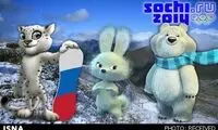 کدام کشور بیشترین سهم را در سوچی دارد؟
