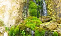 آشنایی با آبشار «تنگ دم اسب»