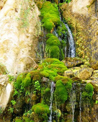 آشنایی با آبشار «تنگ دم اسب»