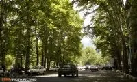 طولانی‌ترین خیابان خاورمیانه کجاست؟ +عکس