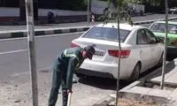 کاشت نهال در محل کشف پیکر بابک خرمدین