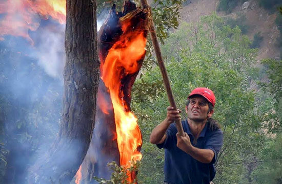 به یاد «شریف باجور» و سه شهید سبز مریوان