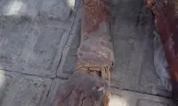 کشف جسد مومیایی در بم +عکس