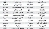 تهرانی‌ها خربزه را جایگزین میوه‌های گران‌ کردند